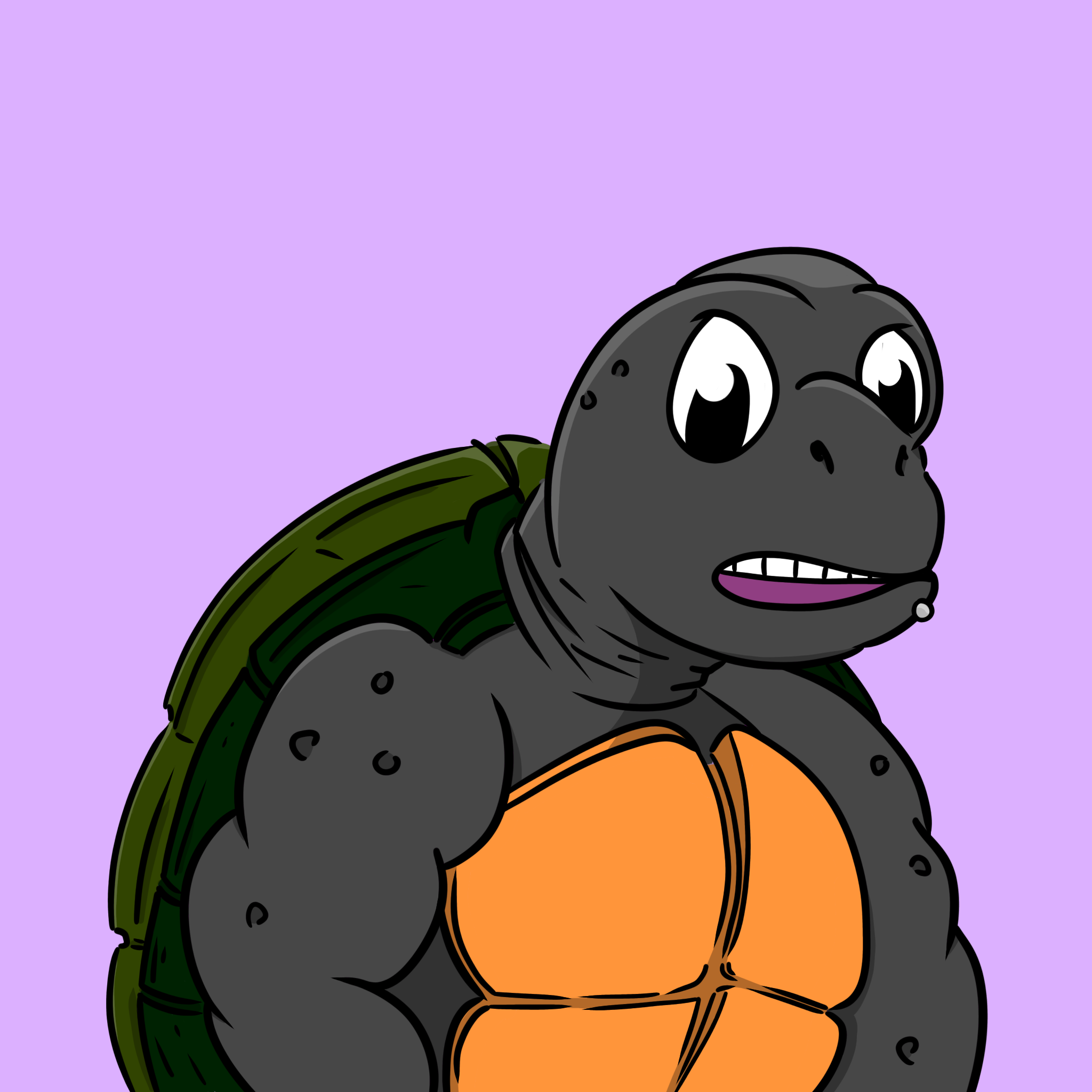 Turtle NFT #2559