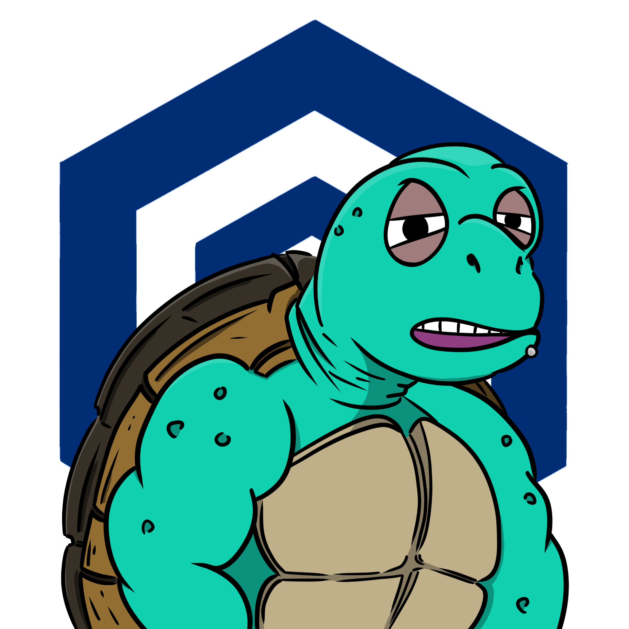 Turtle NFT #3909