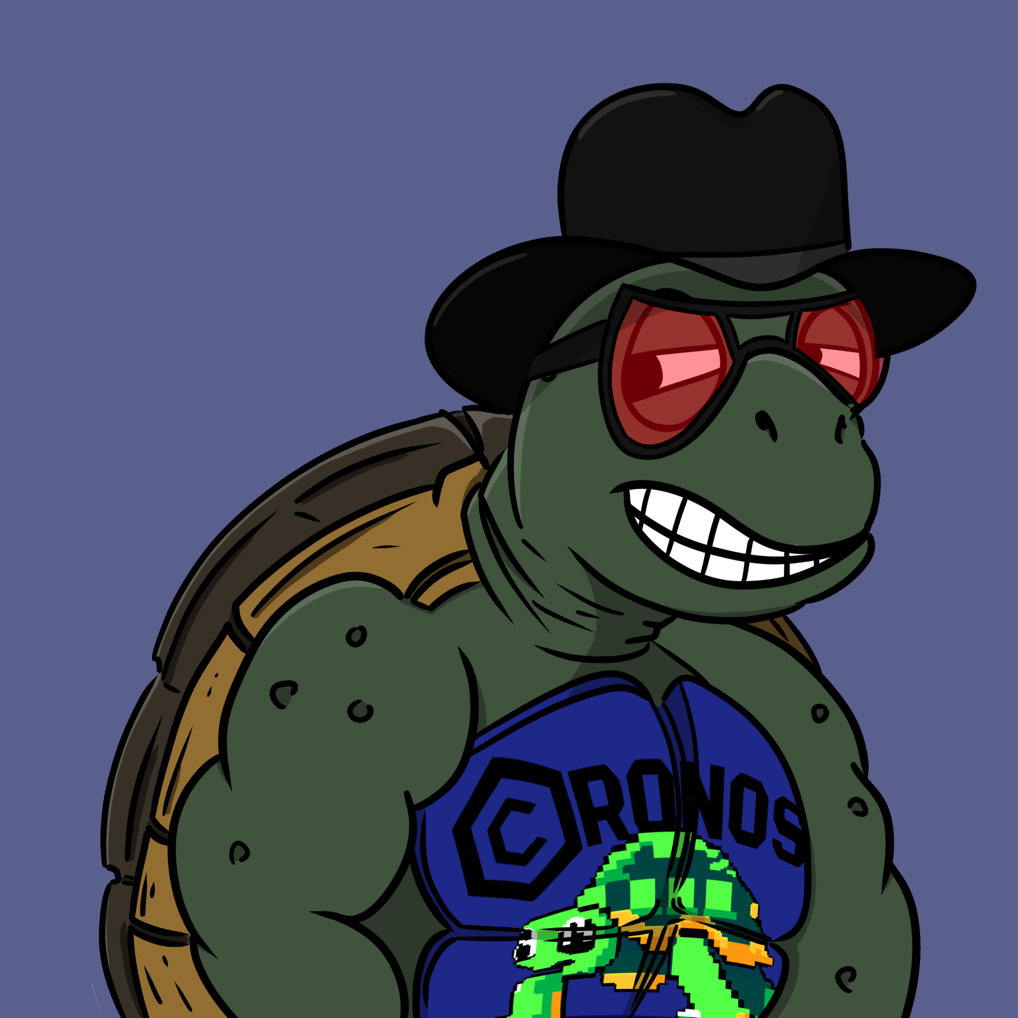 Turtle NFT #3914