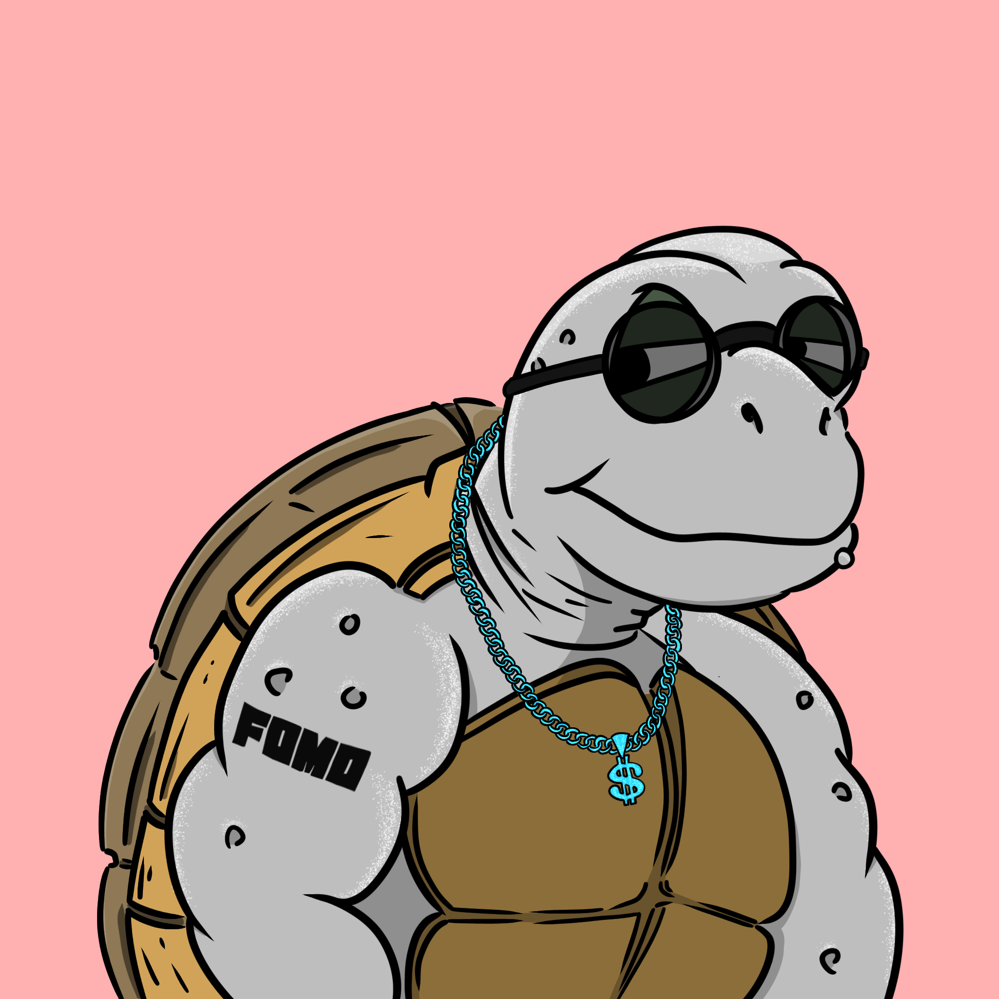 Turtle NFT #542