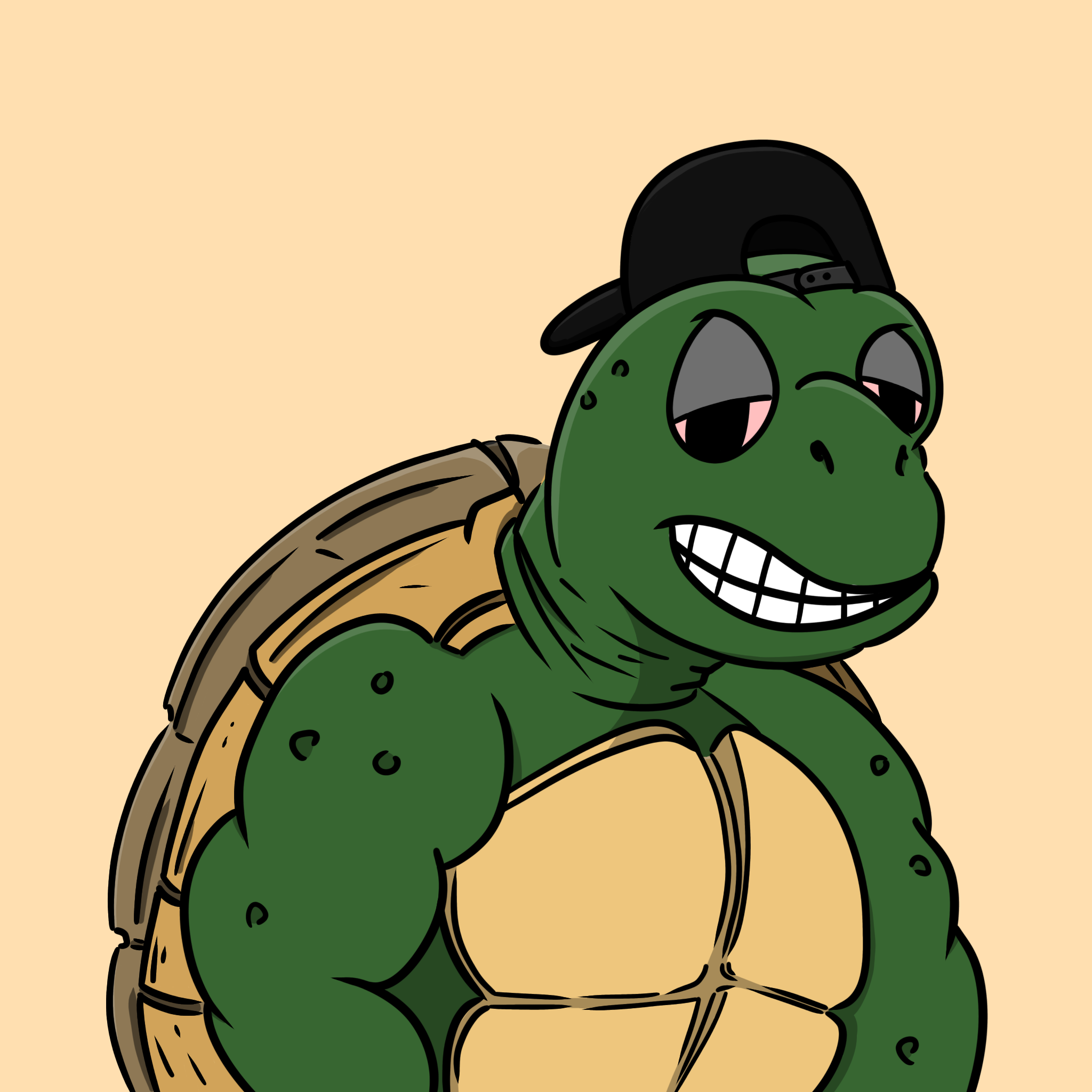 Turtle NFT #758